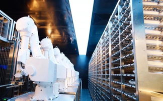 探店海底捞智慧餐厅 科技与美食的奇幻乐园